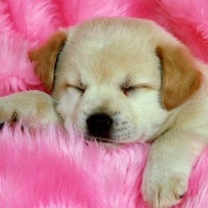 Meet your Posher, Ciara